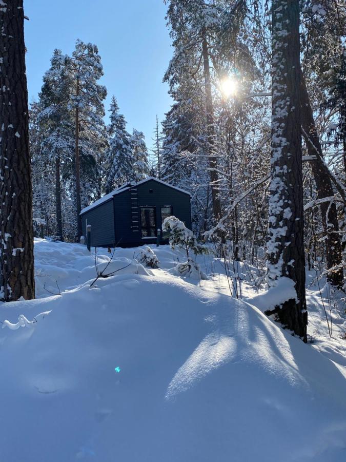 Tammikon Tupa Villa Tuusula Eksteriør billede